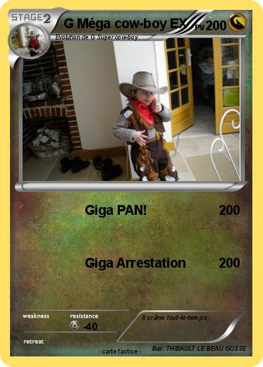 Pokemon G Méga cow-boy EX