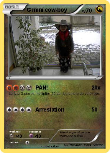 Pokemon G mini cow-boy