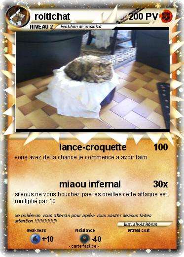 Pokemon roitichat