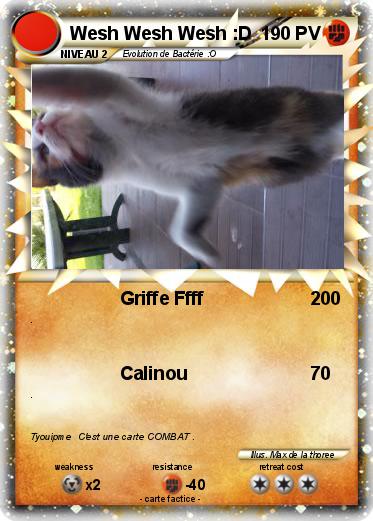 Pokemon Wesh Wesh Wesh :D