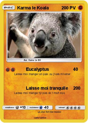 Pokemon Karma le Koala