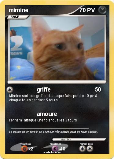 Pokemon mimine