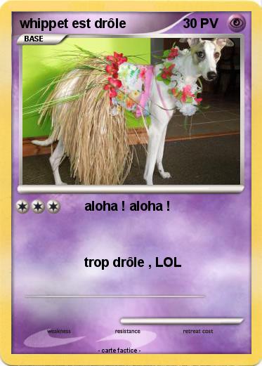 Pokemon whippet est drôle