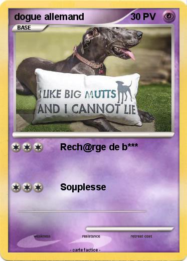 Pokemon dogue allemand