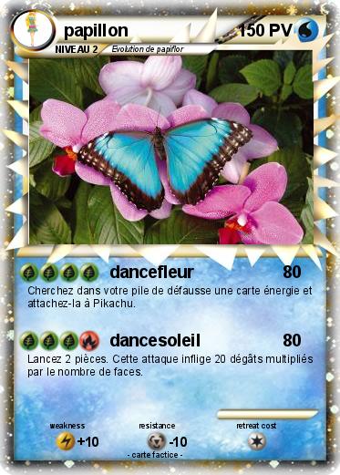 Pokemon papillon