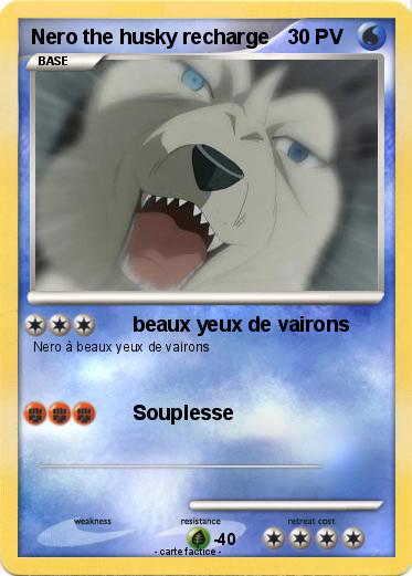 Pokemon Nero the husky recharge