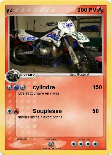 Pokemon yz