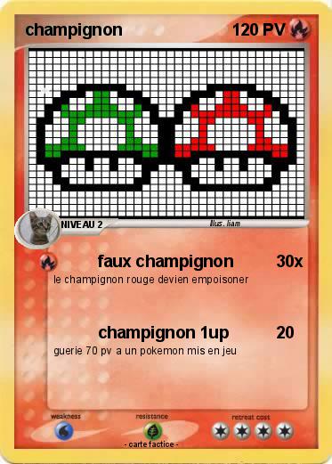 Pokemon champignon