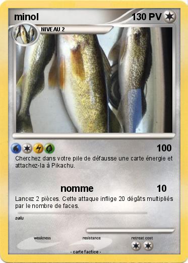 Pokemon minol