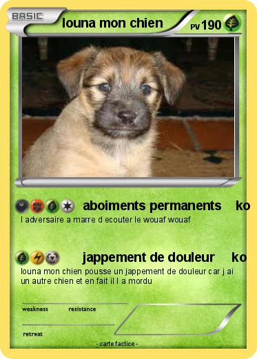 Pokemon louna mon chien