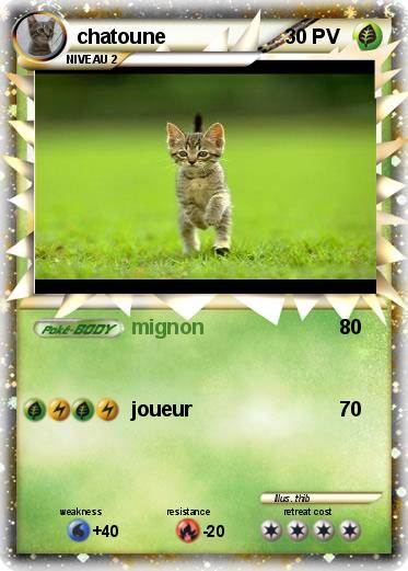 Pokemon chatoune