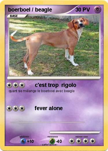 Pokemon boerboel / beagle