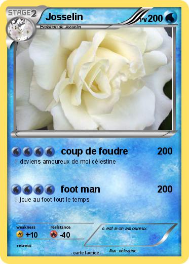 Pokemon Josselin