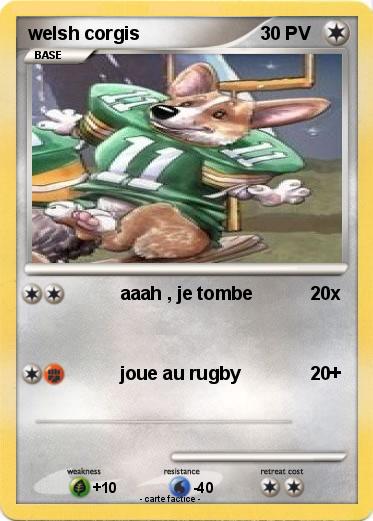 Pokemon welsh corgis