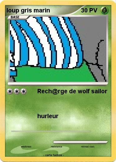 Pokemon loup gris marin