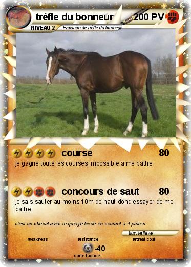 Pokemon trèfle du bonneur