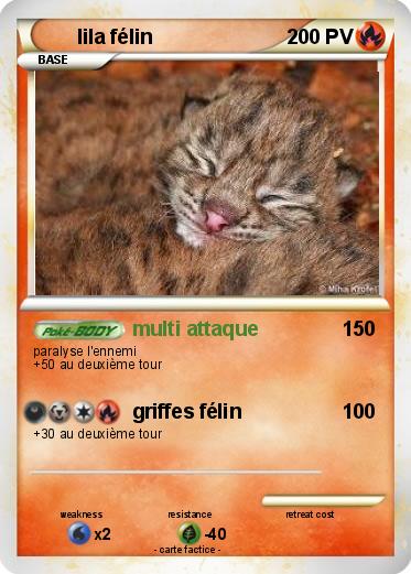 Pokemon lila félin