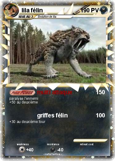 Pokemon lila félin