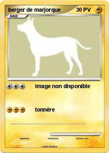 Pokemon berger de marjorque