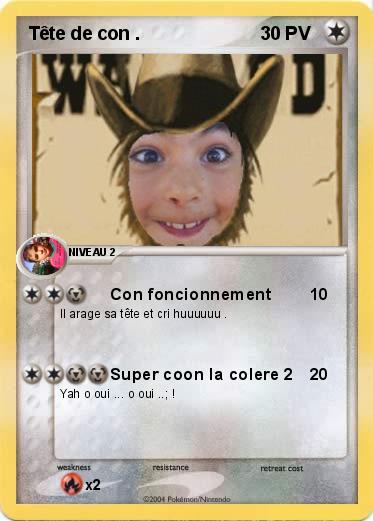 Pokemon Tête de con . 