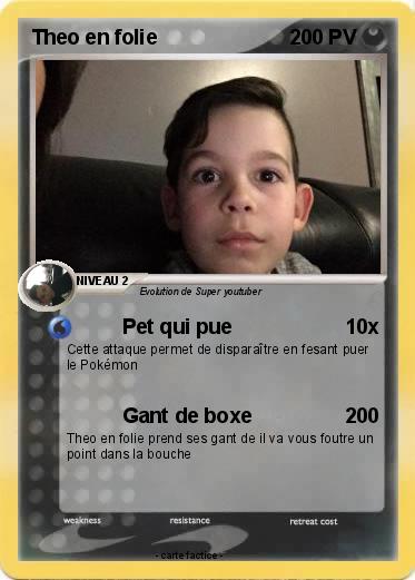 Pokemon Theo en folie