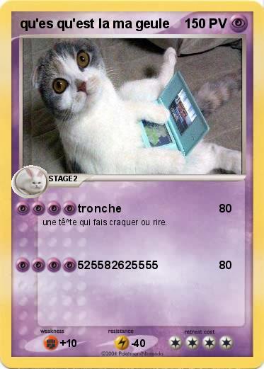 Pokemon qu'es qu'est la ma geule