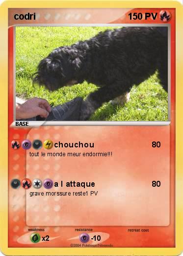 Pokemon codri
