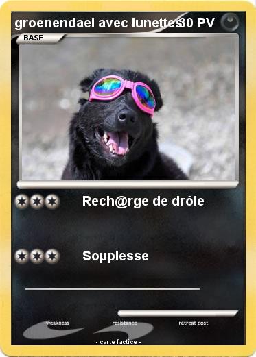 Pokemon groenendael avec lunettes