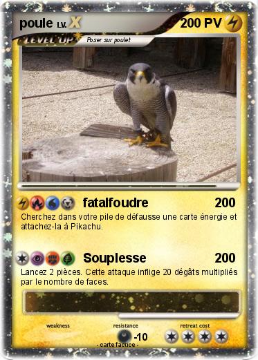 Pokemon poule