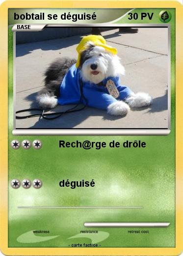 Pokemon bobtail se déguisé