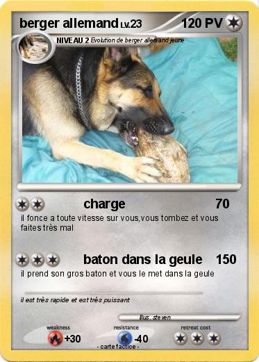 Pokemon berger allemand