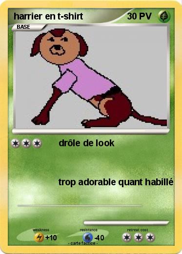 Pokemon harrier en t-shirt