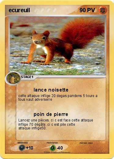 Pokemon ecureuil