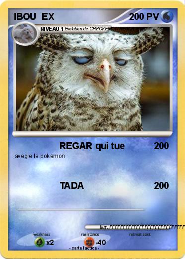 Pokemon IBOU  EX