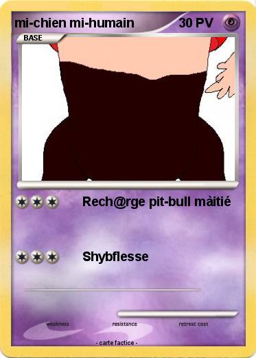 Pokemon mi-chien mi-humain