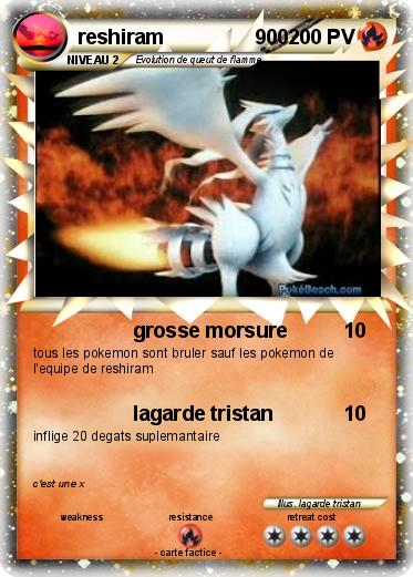 Pokemon reshiram                900