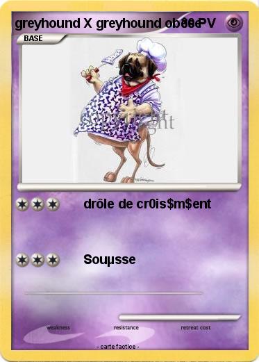 Pokemon greyhound X greyhound obèse
