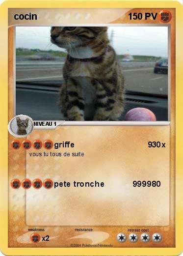 Pokemon cocin