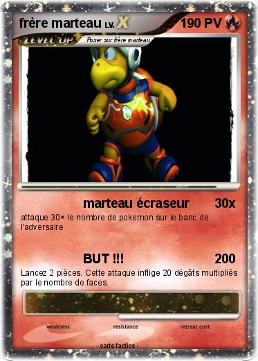 Pokemon frère marteau