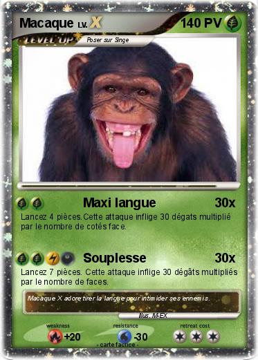 Pokemon Macaque