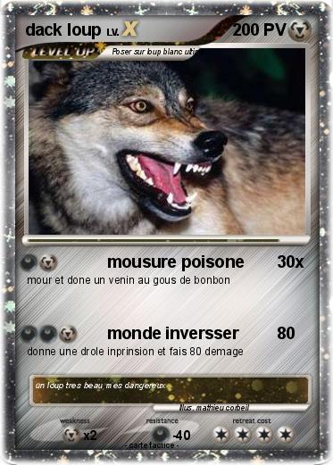 Pokemon dack loup