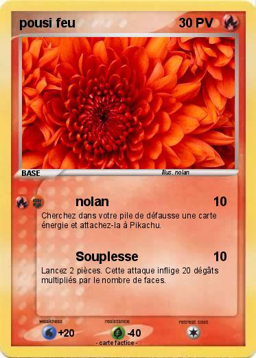 Pokemon pousi feu
