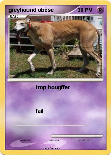 Pokemon greyhound obèse