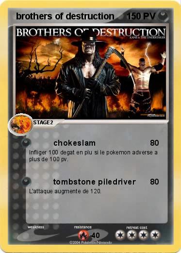 Pokemon  brothers of destruction