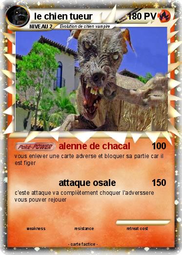 Pokemon le chien tueur