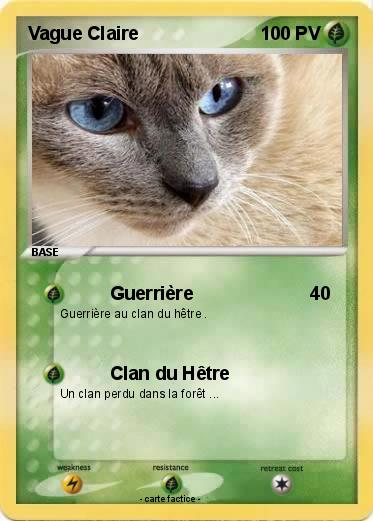 Pokemon Vague Claire