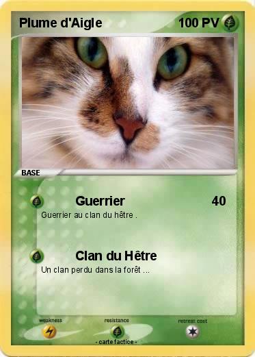 Pokemon Plume d'Aigle