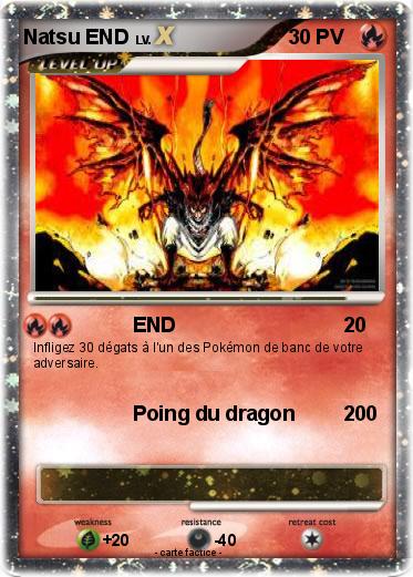 Pokemon Natsu END