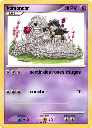 Pokemon komondor