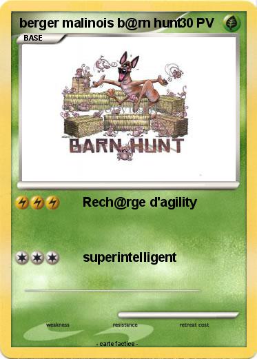 Pokemon berger malinois b@rn hunt